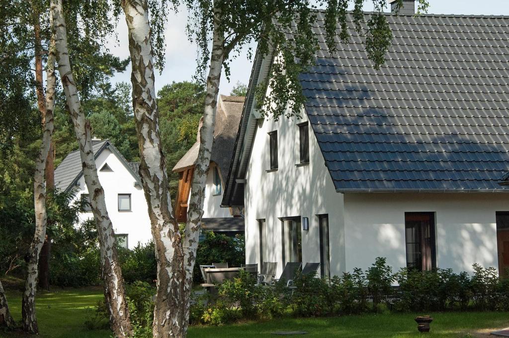 Duenenresidenz Glowe - Ferienhaus Maxi 200 M Zum Strand Exterior foto